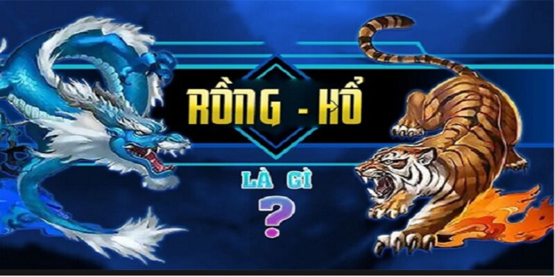 Rồng Hổ Luck8 là gì?